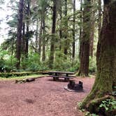 Review photo of Mora Campground — Olympic National Park by Amanda , August 23, 2019