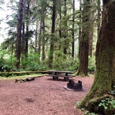 Review photo of Mora Campground — Olympic National Park by Amanda , August 23, 2019