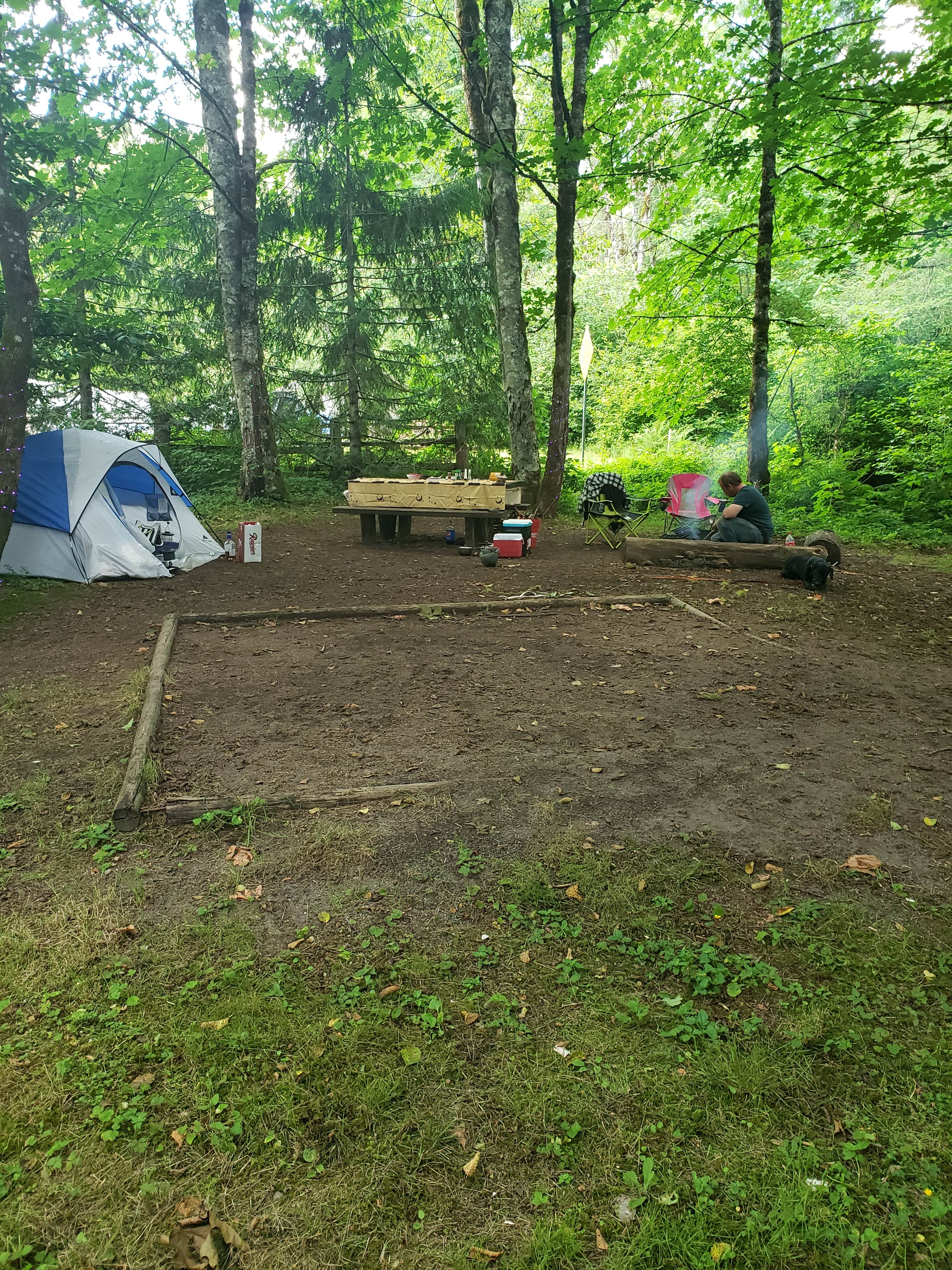 Sarah J.'s photo at Sunset Falls Campground near Yacolt, WA