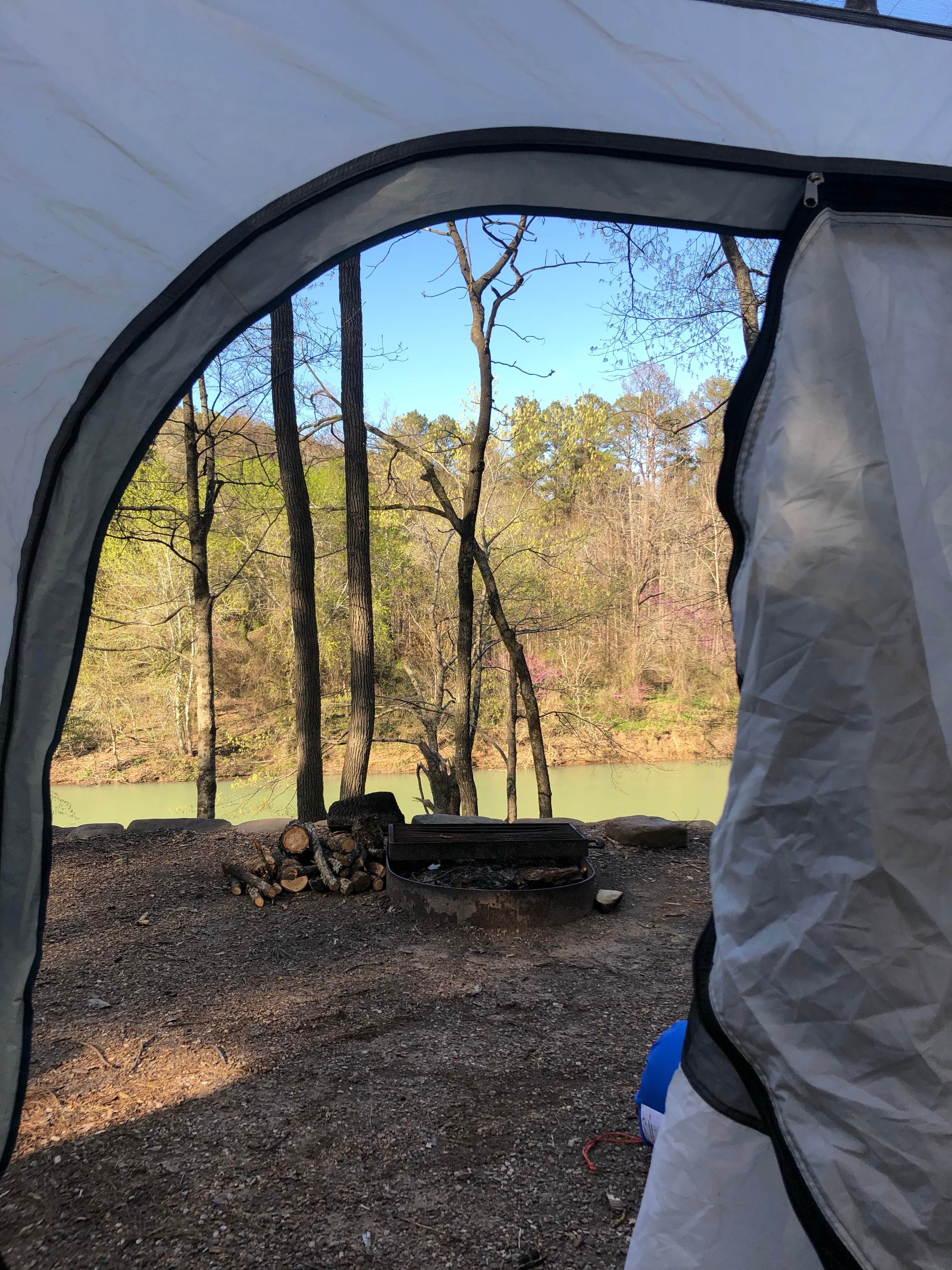 Milli N.'s photo at Long Pool Recreation Area near Jerusalem, AR