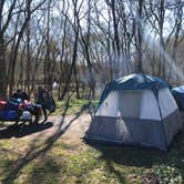 Review photo of Ozark Campground — Buffalo National River by Milli N., August 23, 2019