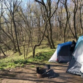 Review photo of Ozark Campground — Buffalo National River by Milli N., August 23, 2019