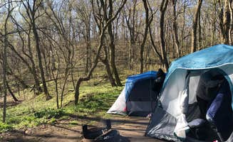 Milli N.'s photo at Ozark Campground — Buffalo National River near Marble Falls, AR