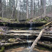 Review photo of Ozark Campground — Buffalo National River by Milli N., August 23, 2019