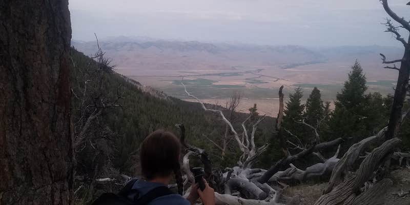 Camper submitted image from Mt. Borah Trailhead and Camping Area