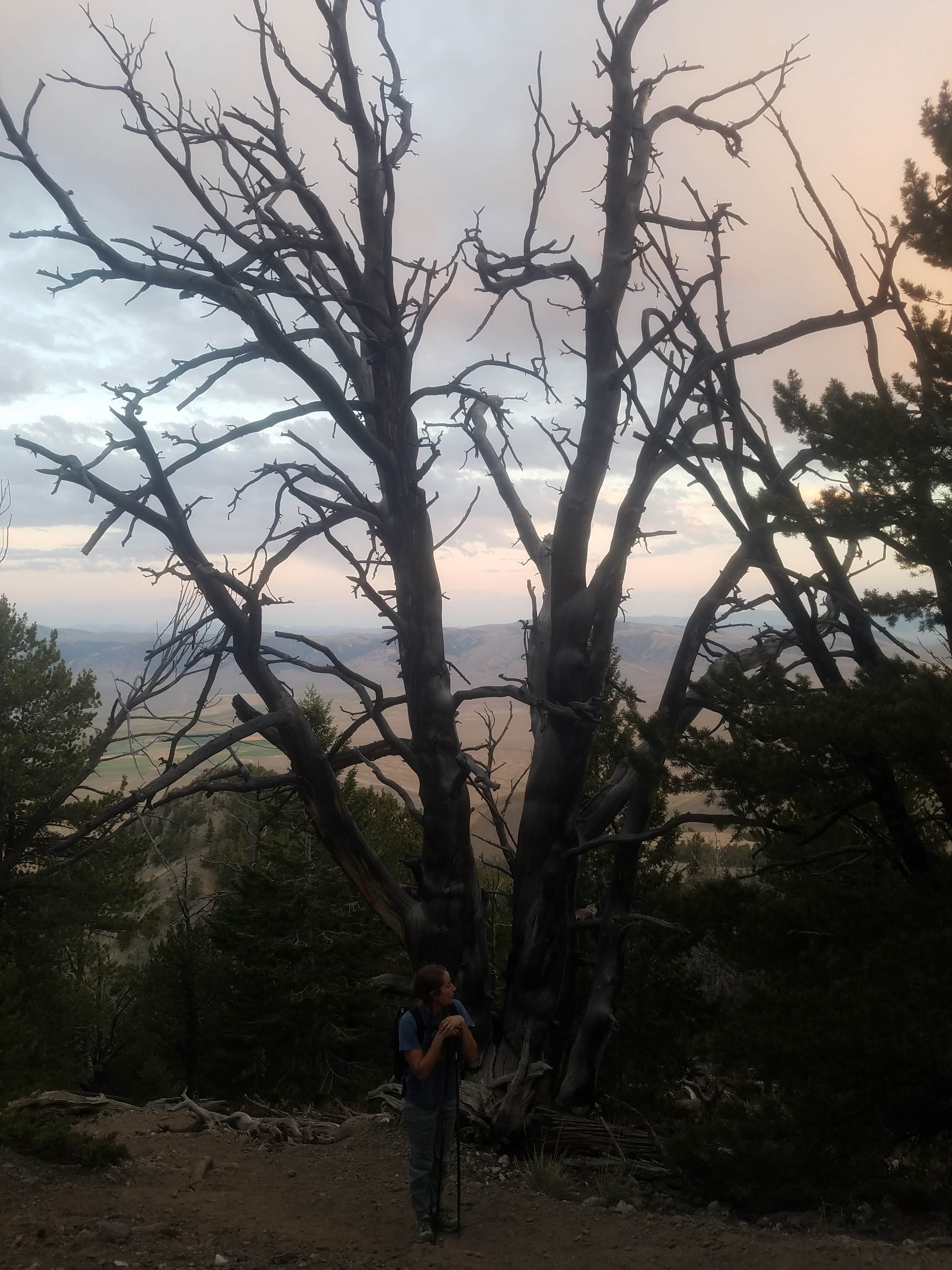 Camper submitted image from Mt. Borah Trailhead and Camping Area - 4