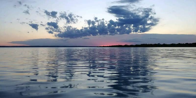 Camper submitted image from Left Tailrace - Lake Sharpe