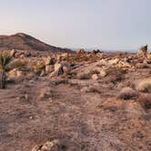 Review photo of Kelbaker Boulders Dispersed — Mojave National Preserve by M , November 9, 2025