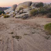 Review photo of Kelbaker Boulders Dispersed — Mojave National Preserve by M , November 9, 2025