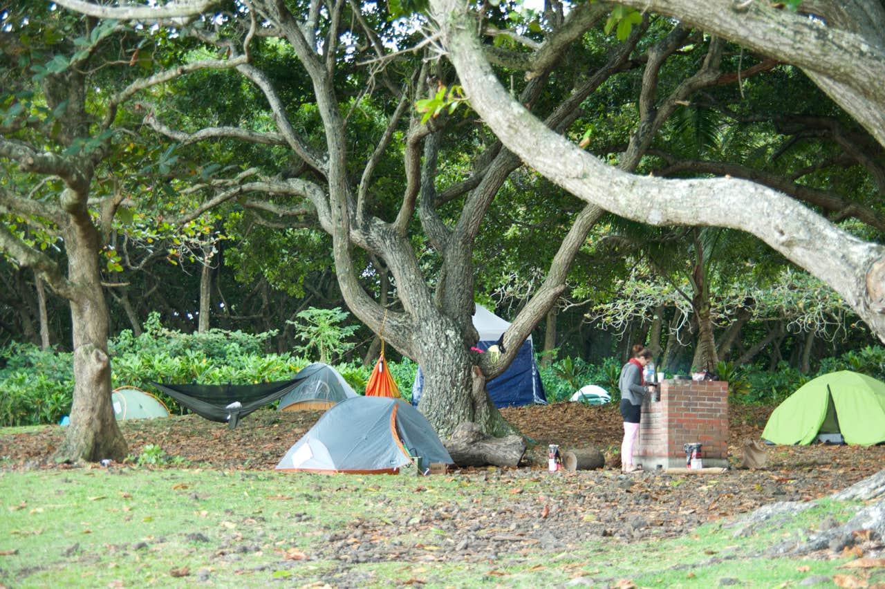 Camper submitted image from Waiʻanapanapa State Park Campground - 4