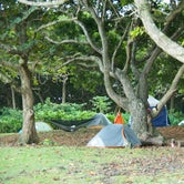 Review photo of Waiʻanapanapa State Park Campground by Stephanie Z., September 27, 2016