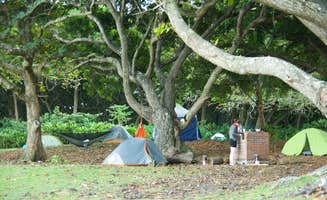 Stephanie Z.'s photo at Waiʻanapanapa State Park Campground near Lahaina, HI