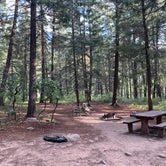 Review photo of East Fork Campground by Brandon F., August 23, 2019
