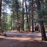 Review photo of East Fork Campground by Brandon F., August 23, 2019