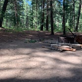 Review photo of East Fork Campground by Brandon F., August 23, 2019
