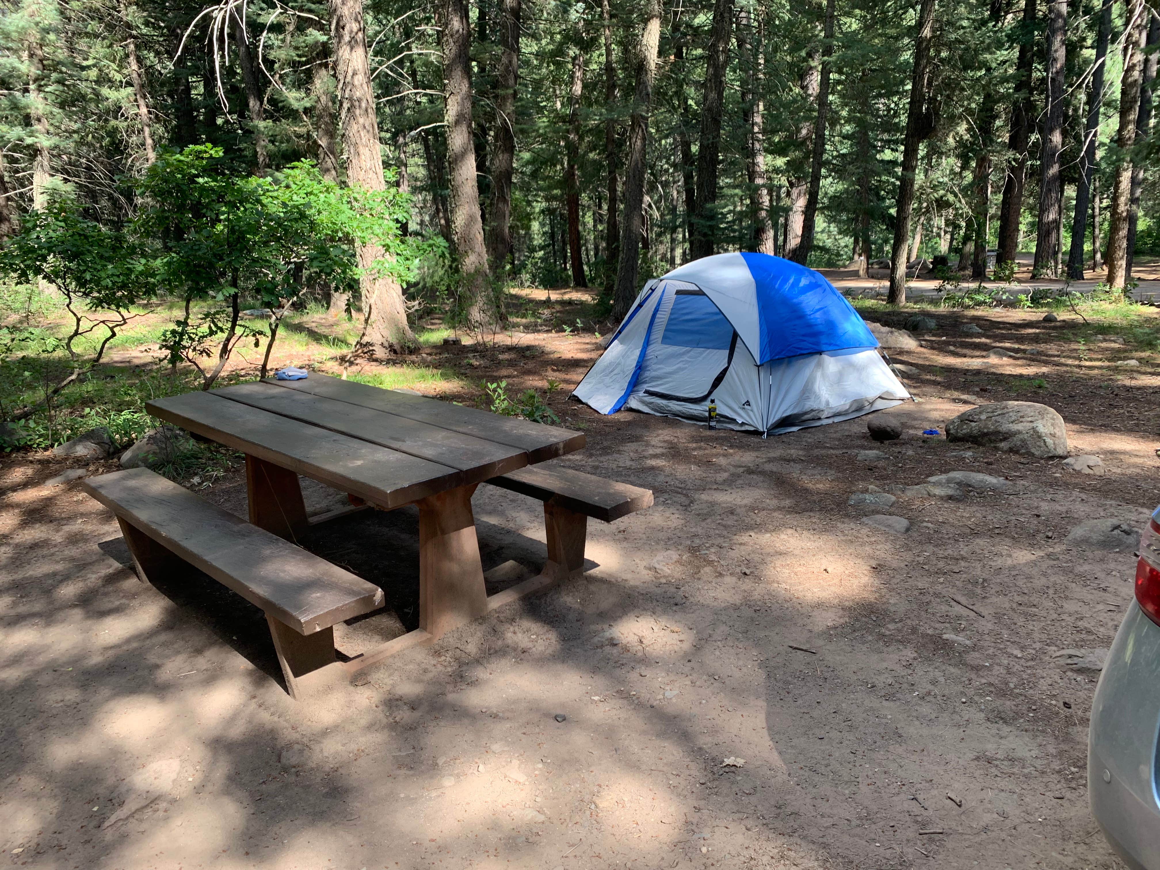 Brandon F.'s photo at East Fork Campground near Pagosa Springs, CO