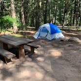 Review photo of East Fork Campground by Brandon F., August 23, 2019