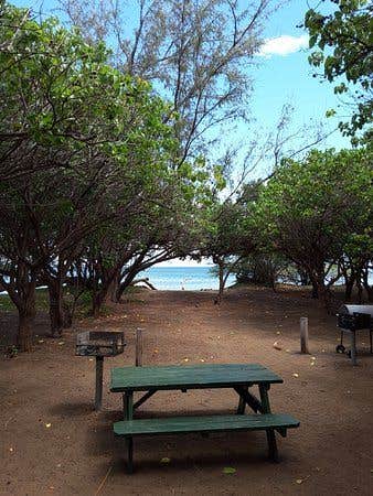 Camper submitted image from Camp Olowalu - 3