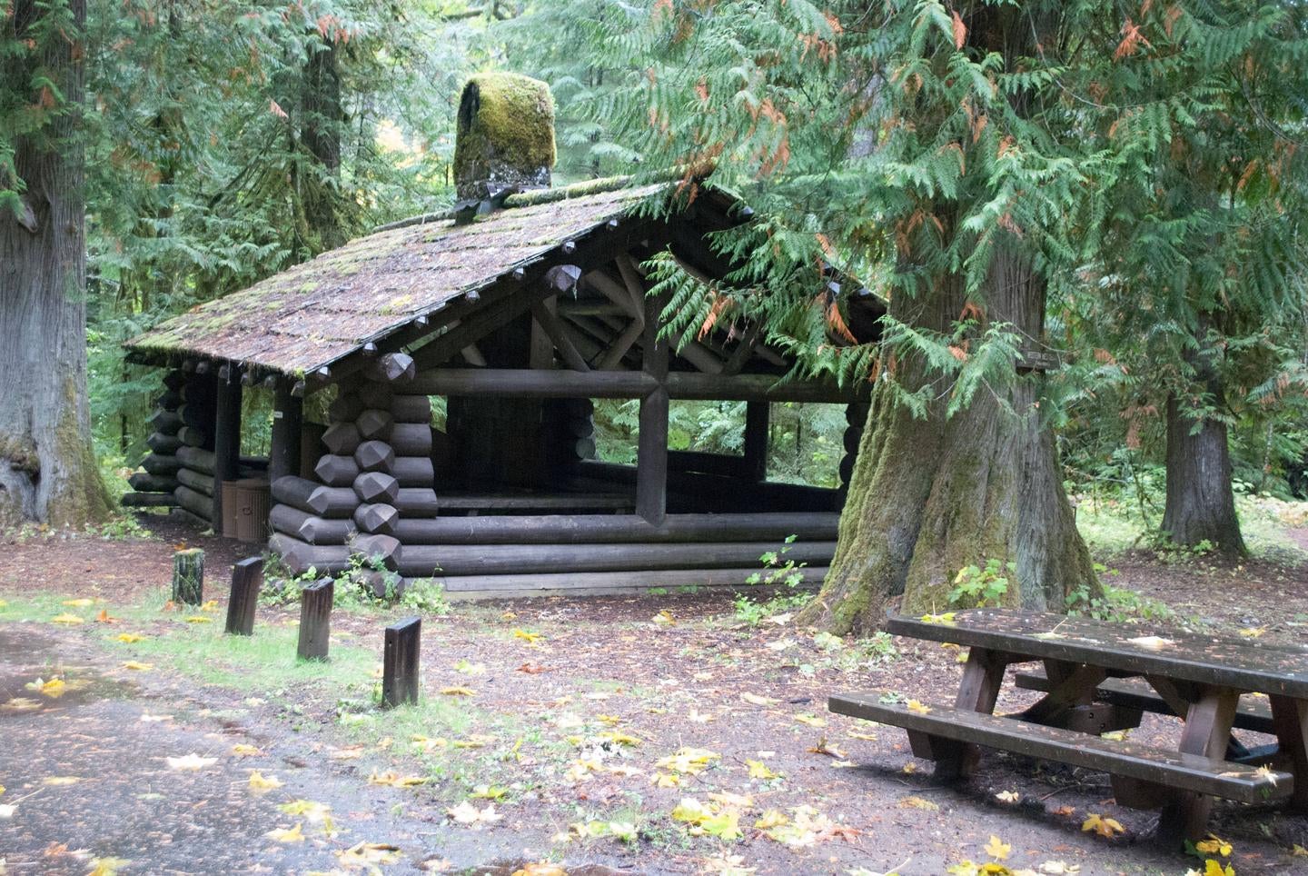 La Wis Wis picnic shelter



Credit: Gifford Pinchot National Forest