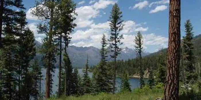 Camper submitted image from Pine Point Campground