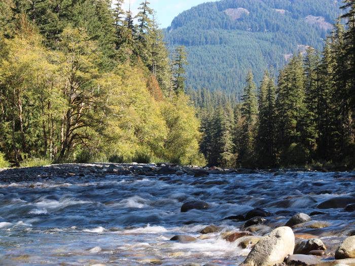 Cowlitz River



Cowlitz River at La Wis Wis

Credit: Gifford Pinchot National Forest