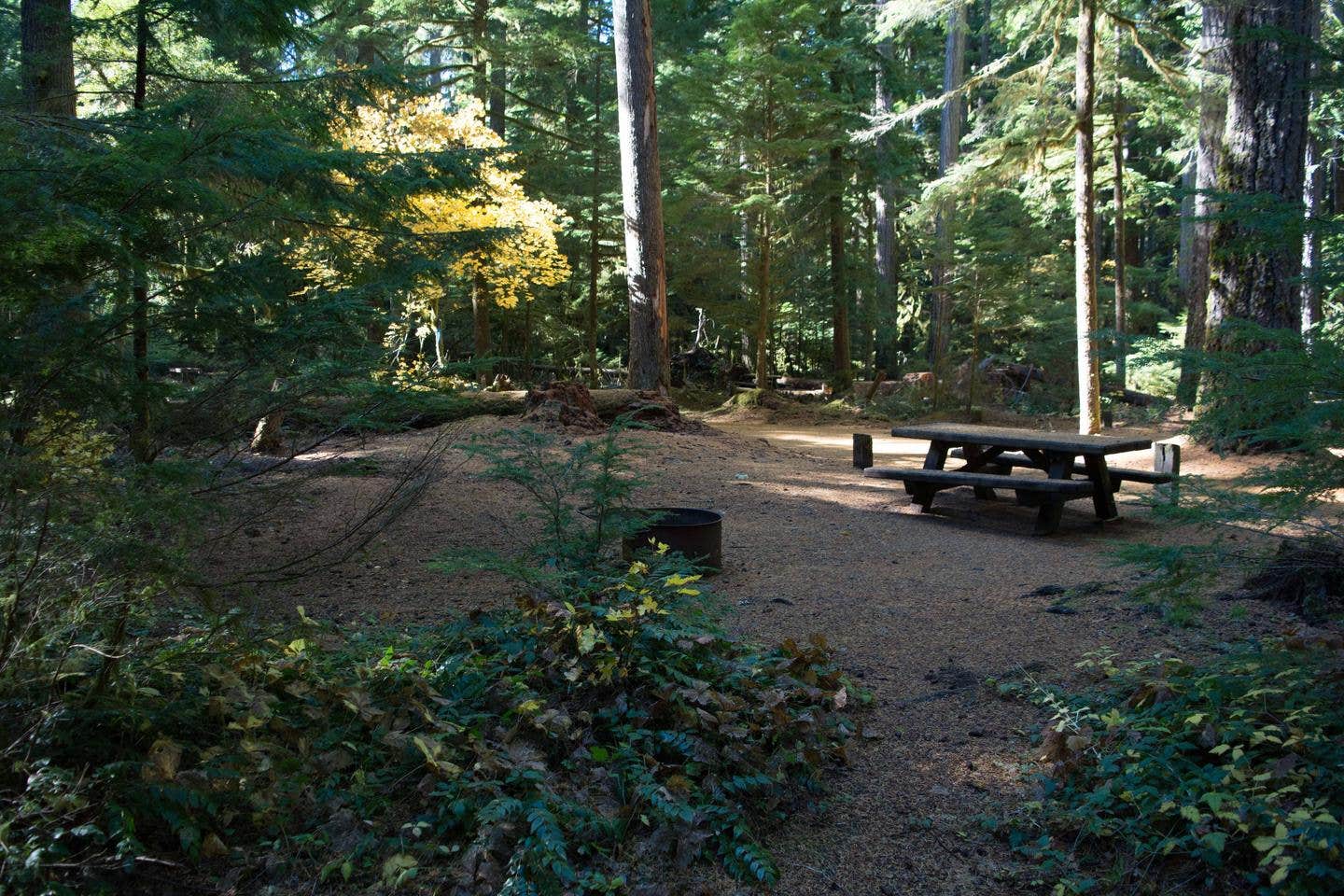 La Wis Wis Campground site



La Wis Wis Campsite

Credit: Gifford Pinchot National Forest
