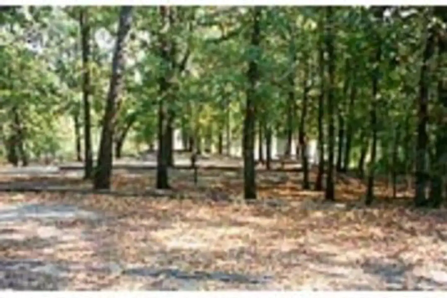 Camper-submitted photo at Platter Flats near Atoka, OK