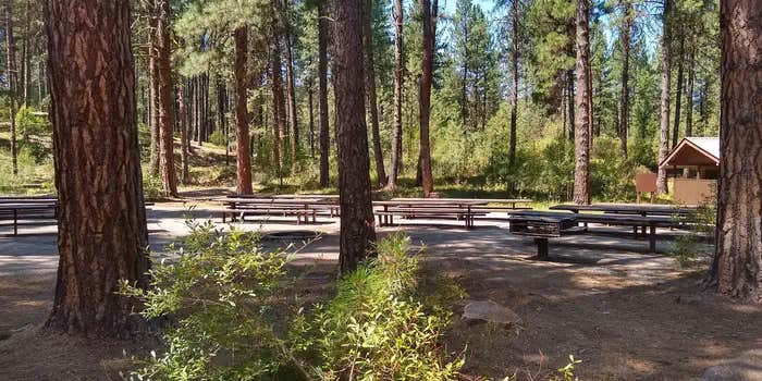 Camper submitted image from Grayback