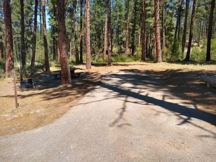 Camper-submitted photo at Grayback near Idaho City, ID