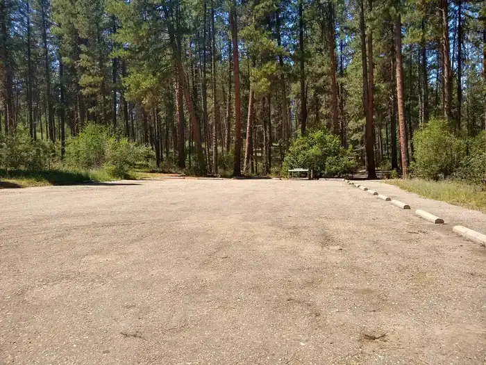 Camper-submitted photo at Grayback near Idaho City, ID