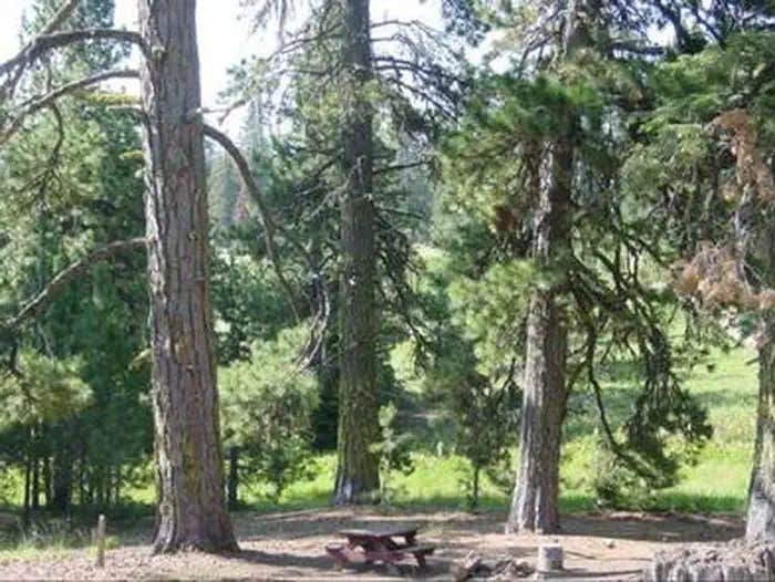 Camper submitted image from Matterson Group Campground - 1