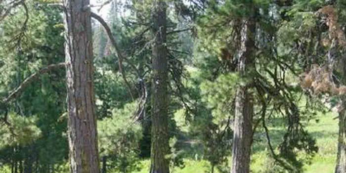 Camper submitted image from Matterson Group Campground