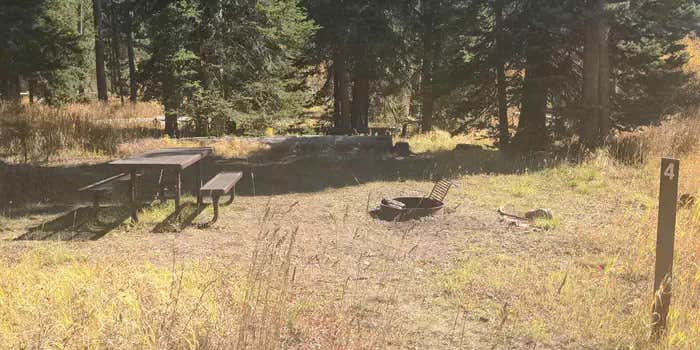 Camper submitted image from Big Creek — Payette National Forest