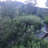 Review photo of Tolby Campground — Cimarron Canyon State Park by Joel H., August 23, 2019