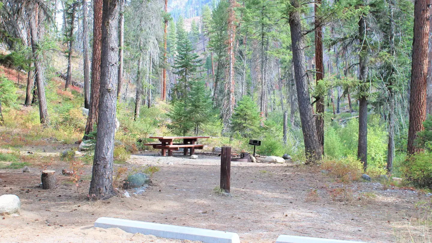 Camping near Deadman Campground: Secesh Campground — Payette National Forest, Warren, Idaho
