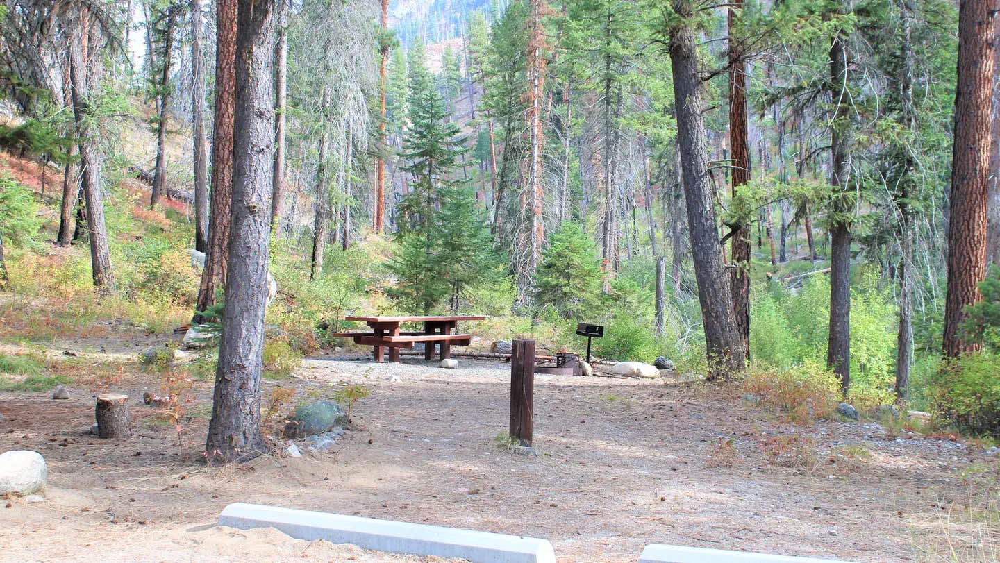 Camper submitted image from Secesh Campground — Payette National Forest - 1