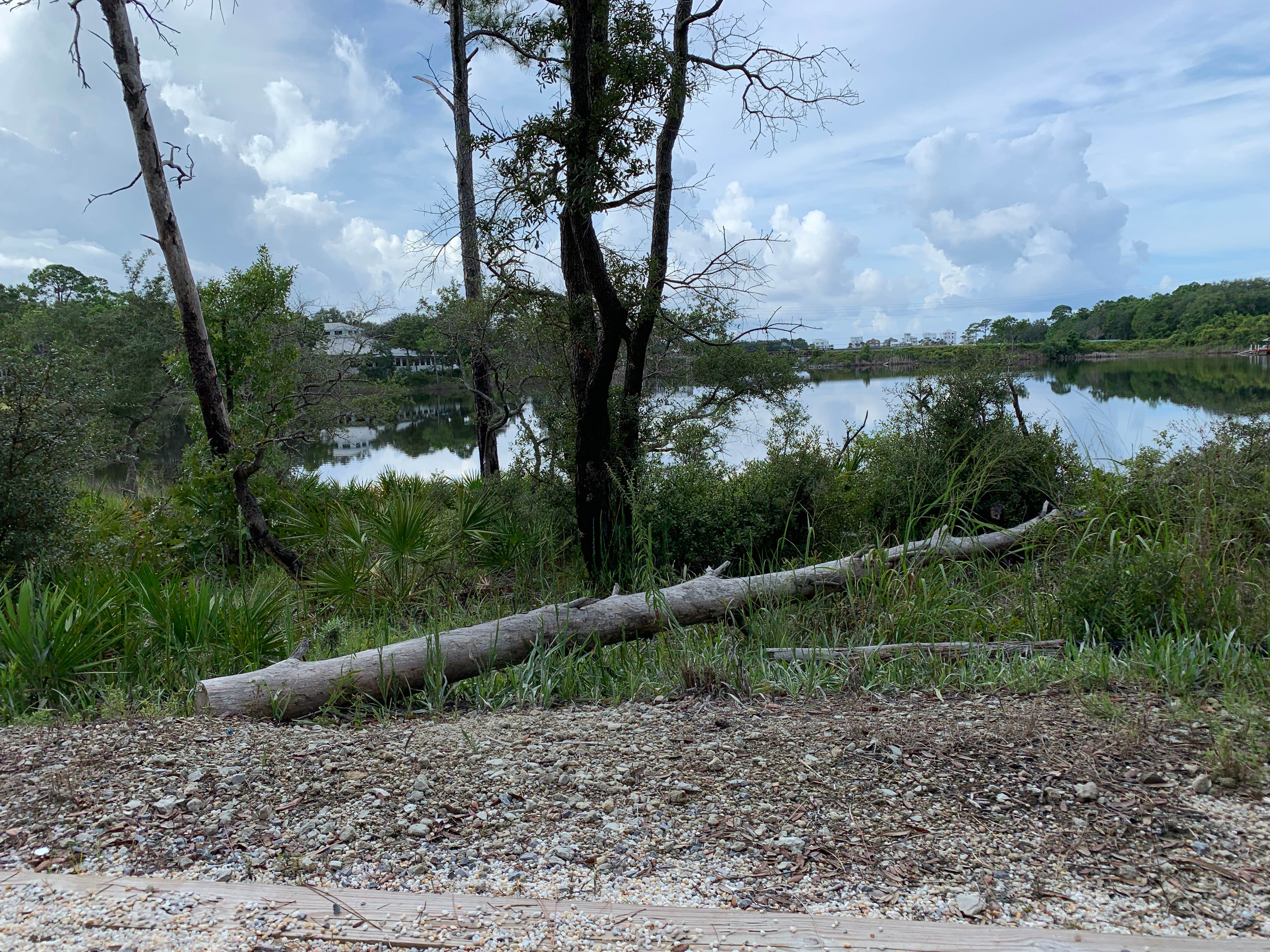 Camping near 3 Bedroom Vacation home, with Full hookup Camper pad.: Eastern Lake Campground 2 — Point Washington State Forest, Inlet Beach, Florida