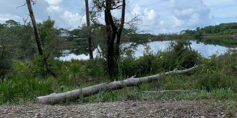 Camper submitted image from Eastern Lake Campground 2 — Point Washington State Forest