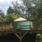 Review photo of Andy Guest/Shenandoah River State Park Campground by Leslie B., August 23, 2019