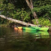 Review photo of Andy Guest/Shenandoah River State Park Campground by Leslie B., August 23, 2019