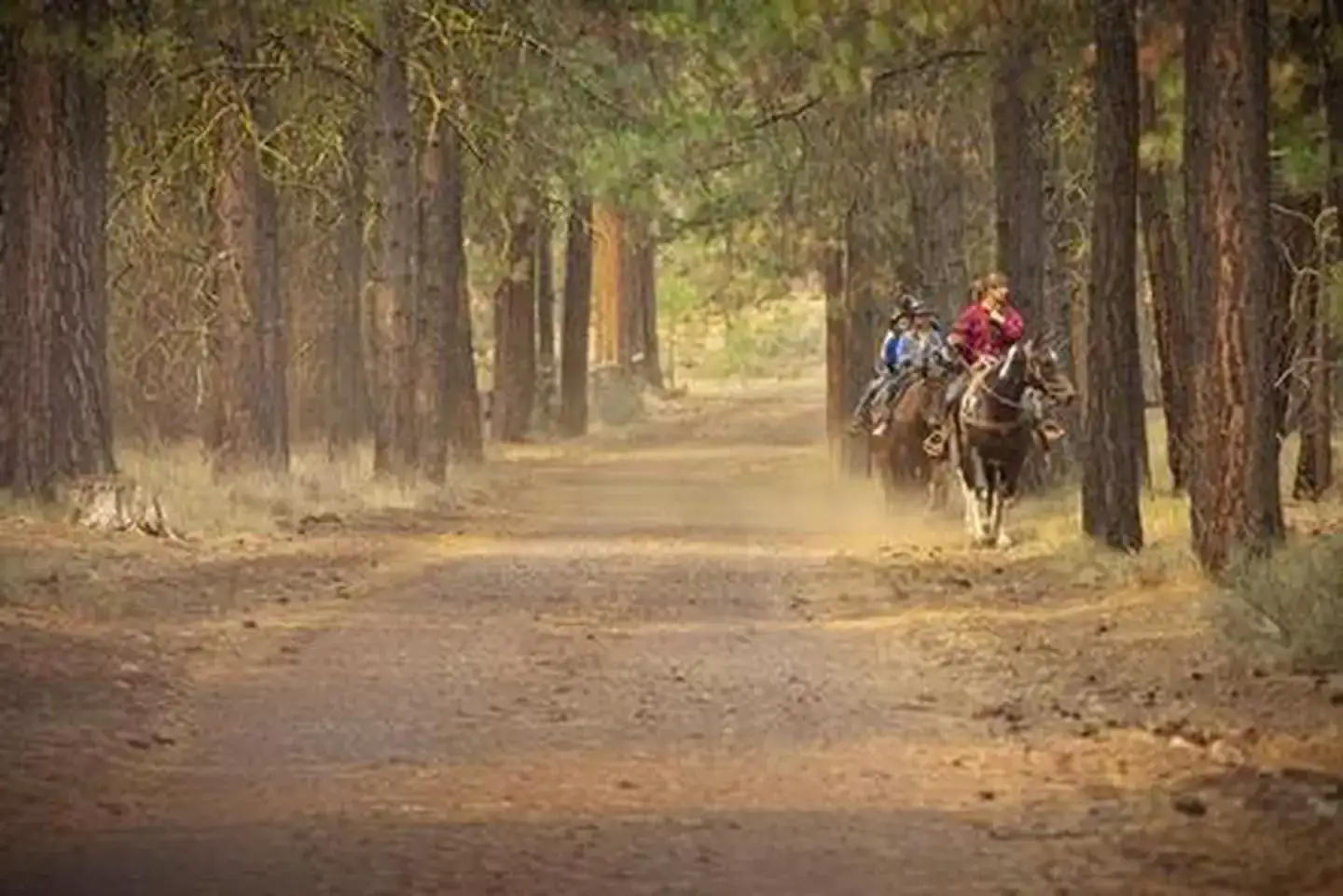 Camper-submitted photo at Graham Corral Horse Camp near Fern Ridge Lake