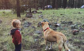 Melissa S.'s photo of camping with pets at Kaibab Lake Recreation Site Kaibab Lake Campground in Arizona