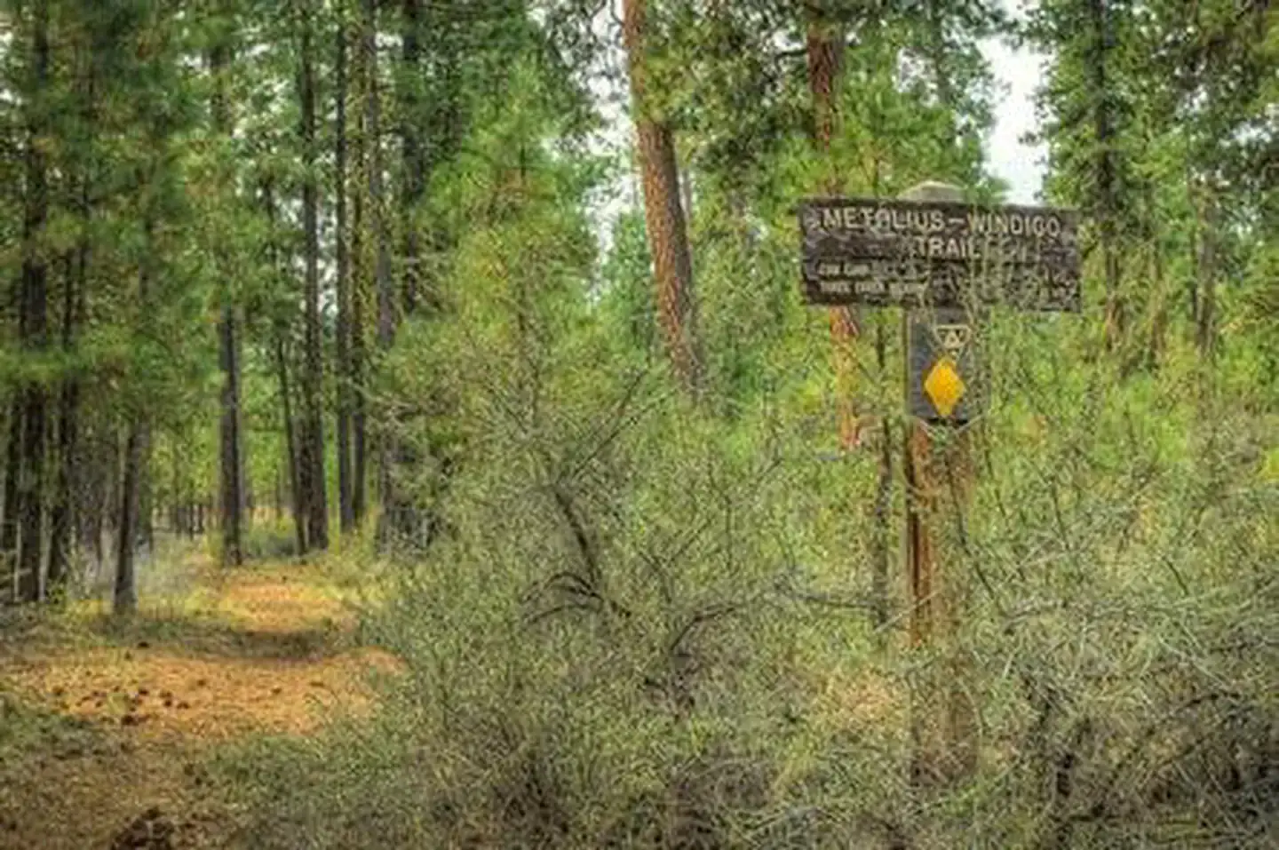 Camper-submitted photo at Graham Corral Horse Camp near Fern Ridge Lake