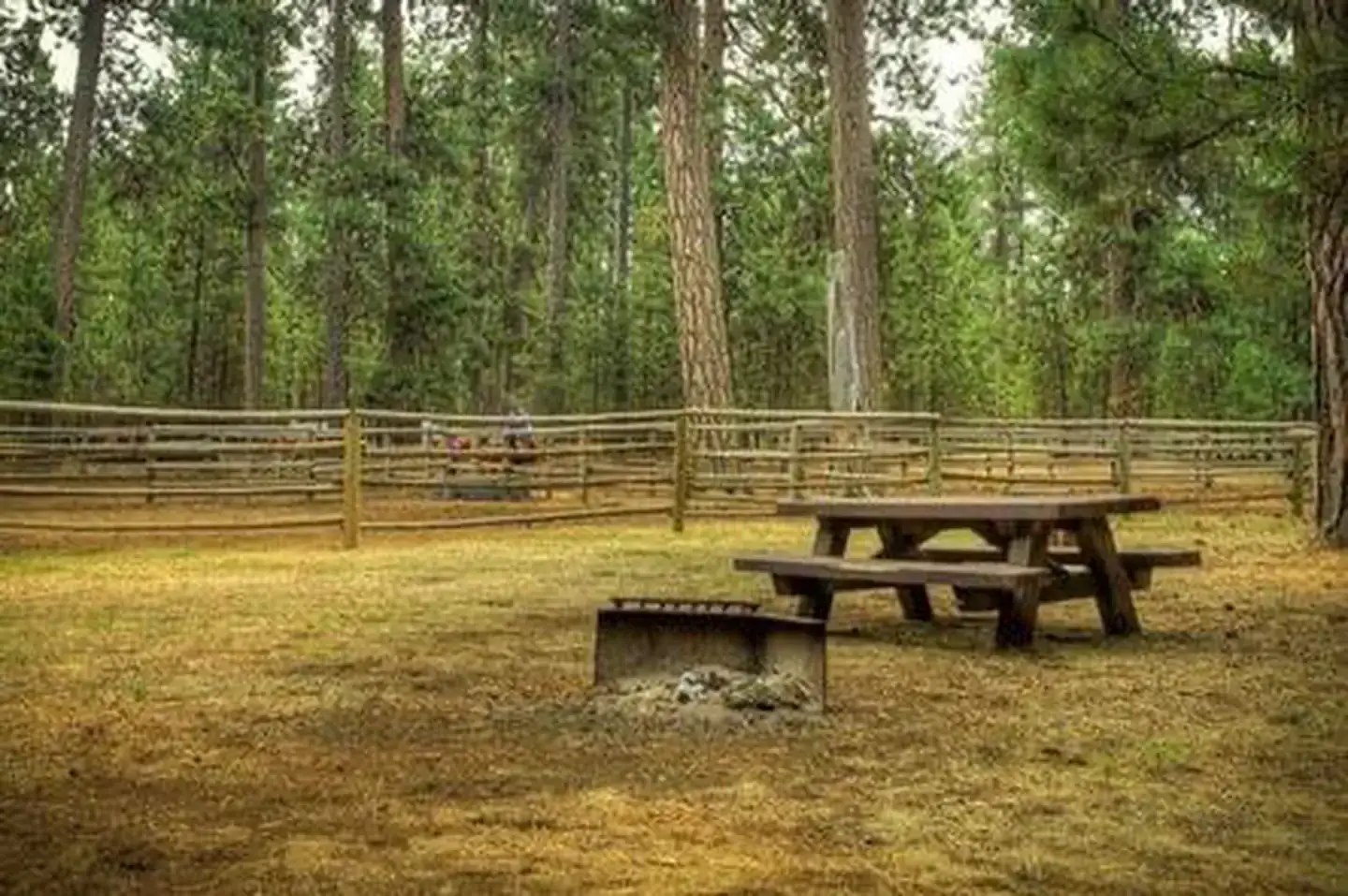 Camper-submitted photo at Graham Corral Horse Camp near Fern Ridge Lake