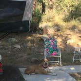 Review photo of White Spar Campground by Melissa S., August 22, 2019