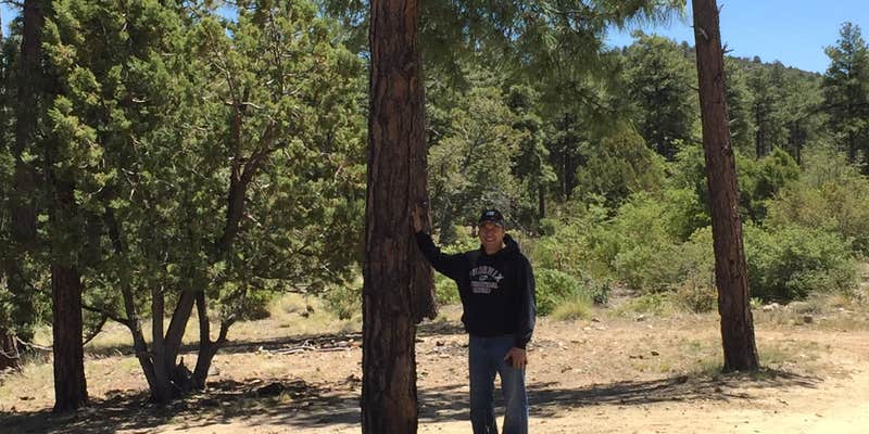 Camper submitted image from FDR79 Trittle Mountain Road Dispersed Camping