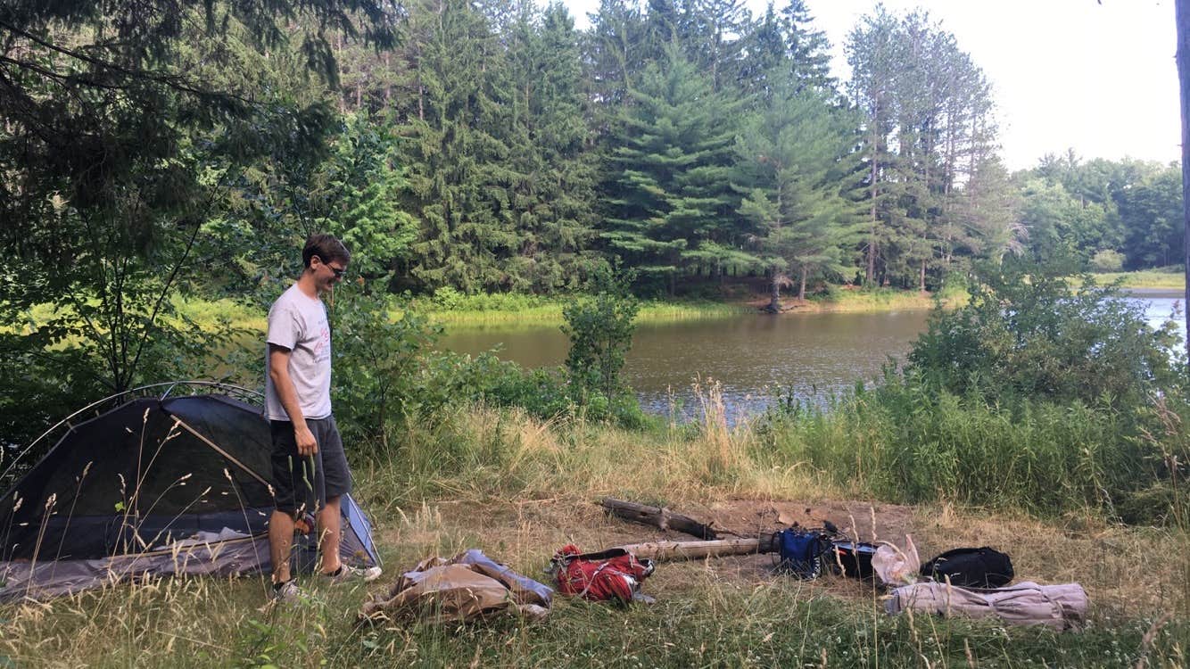Camper submitted image from Ossian State Forest - 1