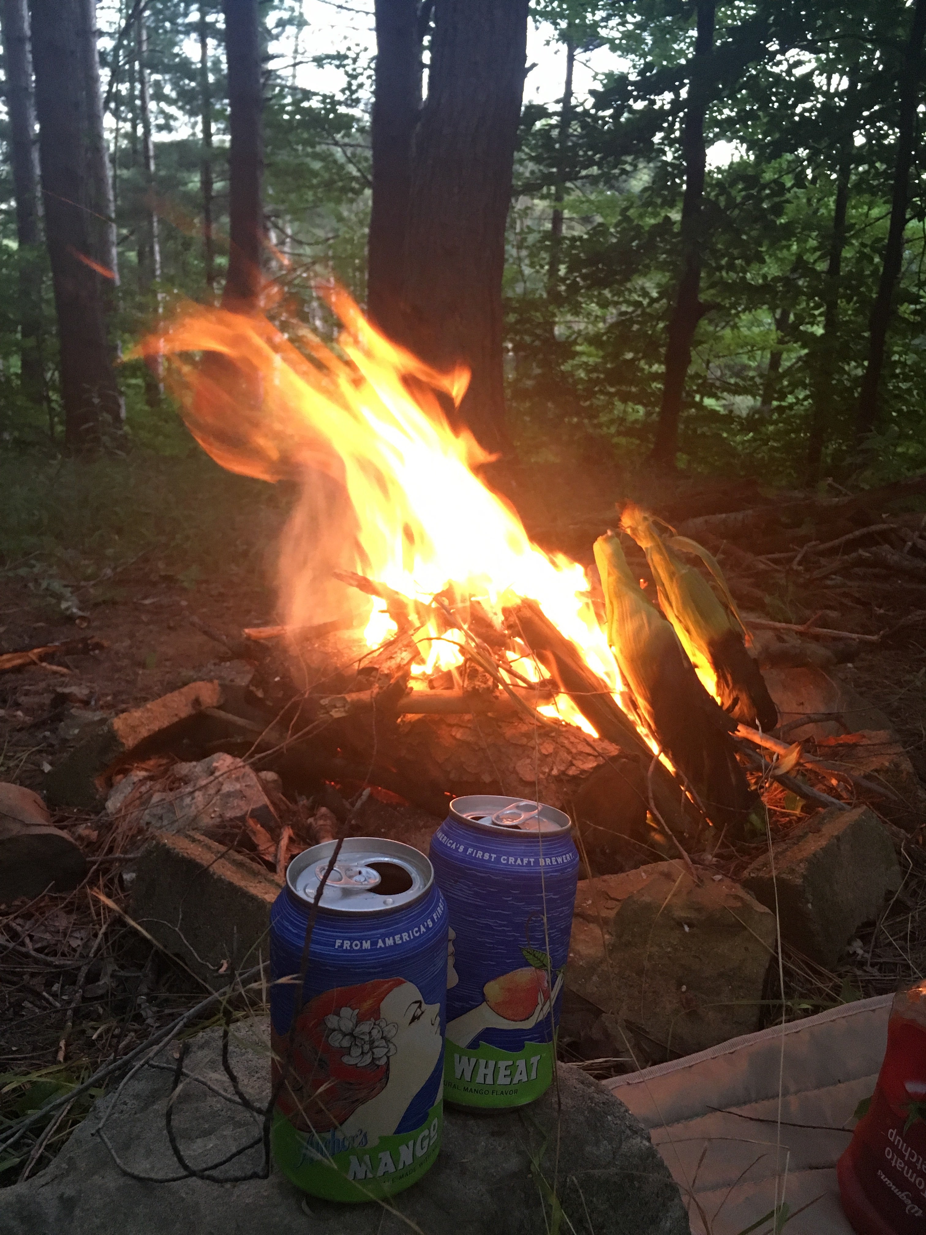 Camper submitted image from North Harmony State Forest - 1