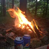 Review photo of North Harmony State Forest by Emily S., September 27, 2016