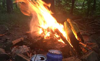 Emily S.'s photo at North Harmony State Forest near Westfield, NY